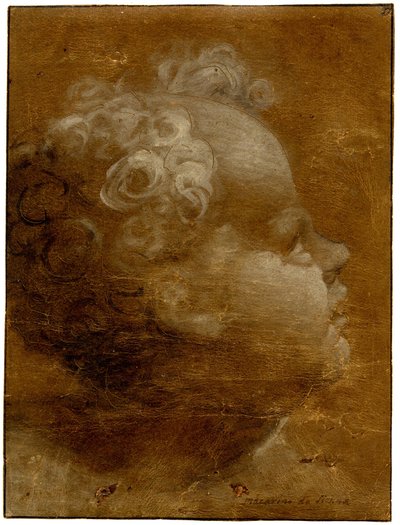 Head of a Child Looking Up, in Profile to Right by Domenico Beccafumi