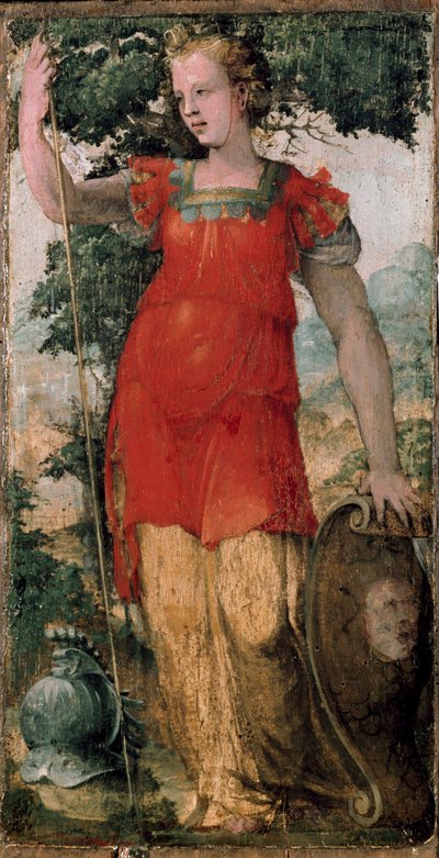 Female Character, Perhaps Minerva by Domenico Beccafumi