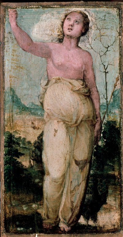 Female Figure by Domenico Beccafumi