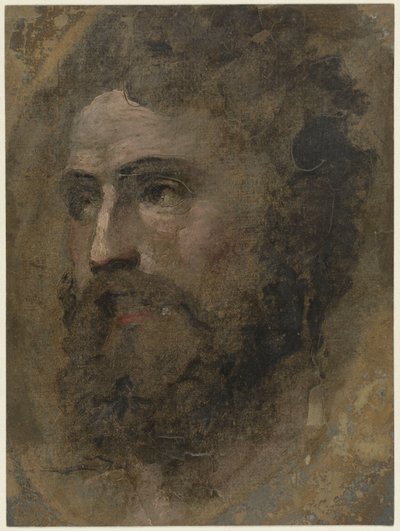 Head of a Man with Curly Hair, Facing Left by Domenico Beccafumi