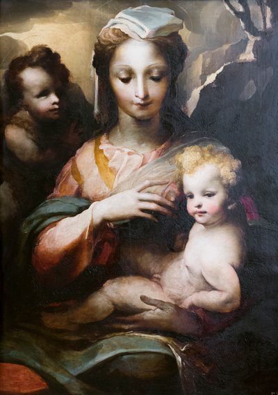 Madonna and Child with a Young Saint John the Baptist by Domenico Beccafumi
