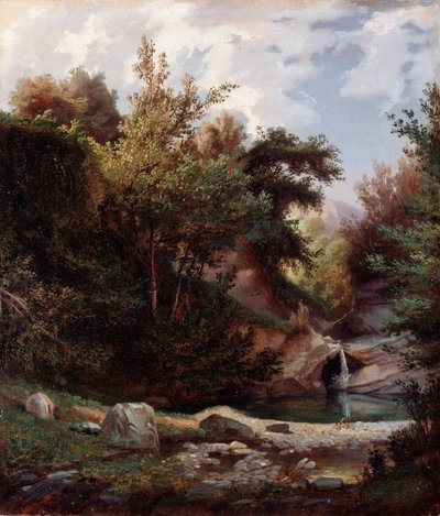Landscape of Nature, Undergrowth and Stream with Waterfall by Domenico Cambiaso