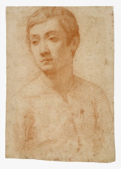The Head of a Youth by Domenico Cresti