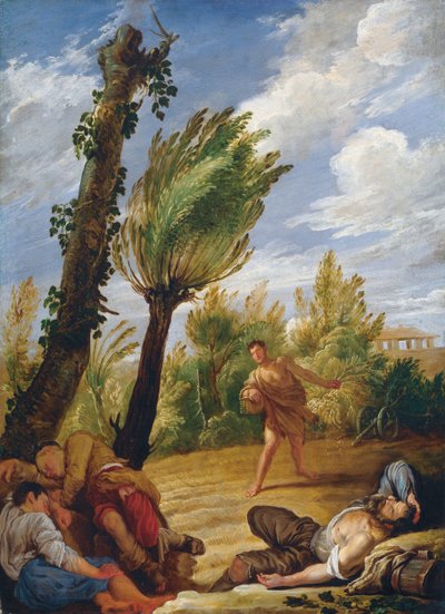 The Parable of the Wheat and the Tares, 1620s by Domenico Fetti