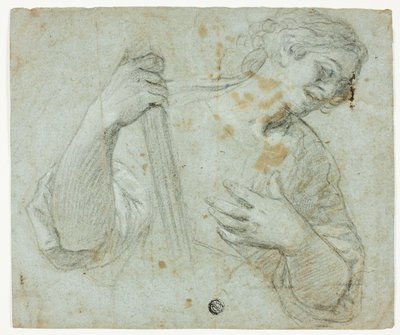Standing Youth in Profile to Right, Holding Staff by Domenico Fiasella