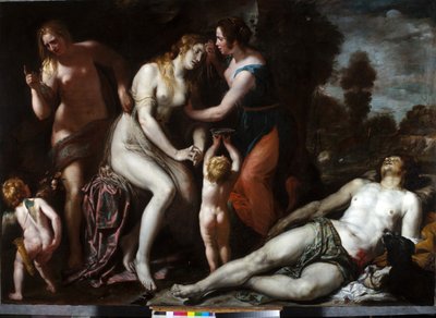 Death of Adonis by Domenico Il Sarzana Fiasella