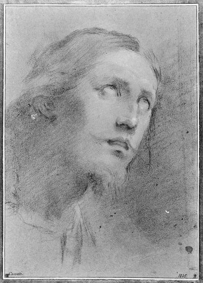Head of Christ, Three-Quarter View Right by Domenico Maria Canuti