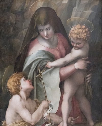 Madonna and Child with the Young St John by Domenico Puligo