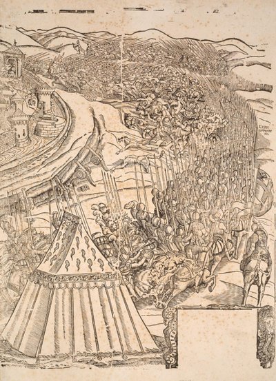 Capture of Goleta in Tunis by Charles V by Domenico dei Franceschi