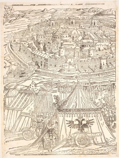Capture of Goleta in Tunis by Charles V by Domenico dei Franceschi