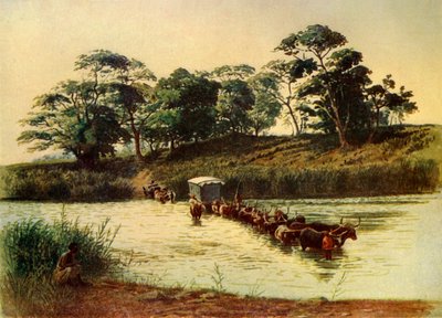 Bullock Wagon Crossing a Drift on the Umbelois River, Swaziland, 1902 by Donald McCracken