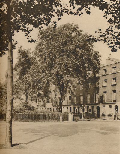 In Boarding-House Land: The Plane Trees of Torrington Square, c1935 by Donald McLeish