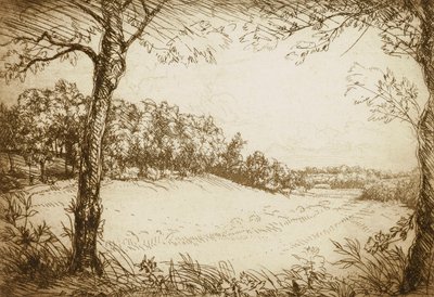 Summer Morning in Tennessee by Donald Shaw MacLaughlan