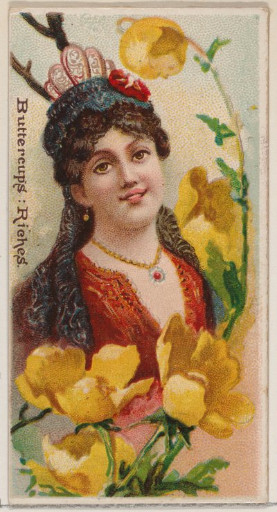 Buttercups: Riches, from the series Floral Beauties and Language of Flowers, 1892 by Donaldson Brothers