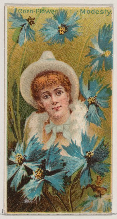 Cornflower: Modesty, from the series Floral Beauties and Language of Flowers N75 for Duk by Donaldson Brothers