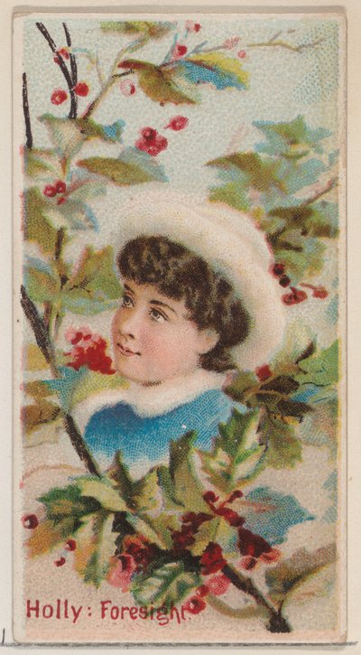 Holly: Foresight, from the series Floral Beauties and Language of Flowers N75 for Duke by Donaldson Brothers