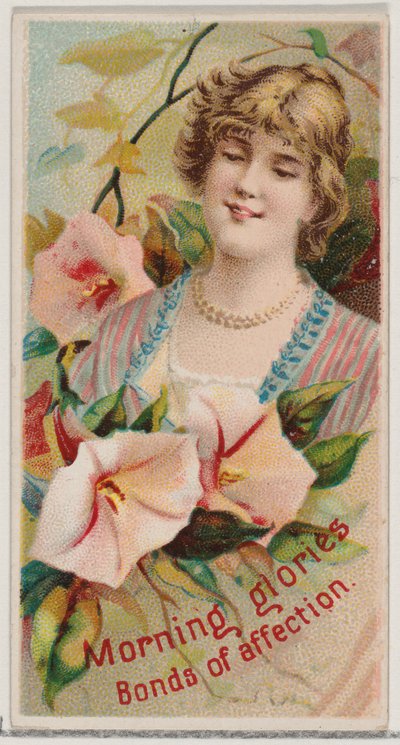 Morning Glories: Bonds of Affection, from the series Floral Beauties and Language of Flowers by Donaldson Brothers