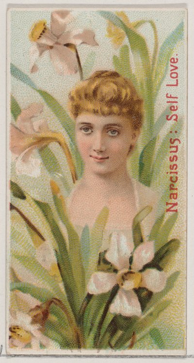 Narcissus: Self Love, from the series Floral Beauties and Language of Flowers N75 for Duke by Donaldson Brothers