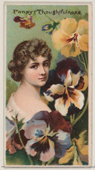 Pansy: Thoughtfulness, from the series Floral Beauties and Language of Flowers N75 for D... by Donaldson Brothers