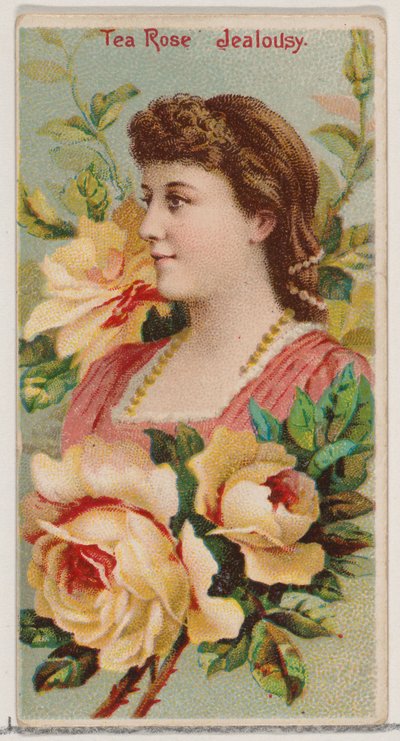 Tea Rose: Jealousy, from the series Floral Beauties and Language of Flowers N75 for Duke, 1892 by Donaldson Brothers
