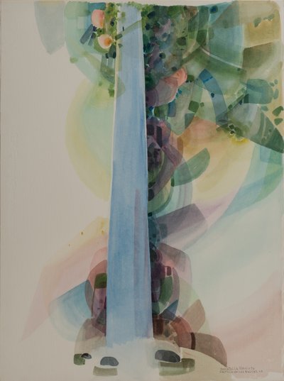 Saltillo de las Nalcas by Donatella Merlo