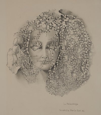 The Malacology by Donatella Merlo