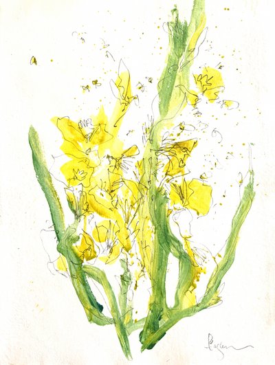 Bright Yellow Blooms by Dorothy Fagan