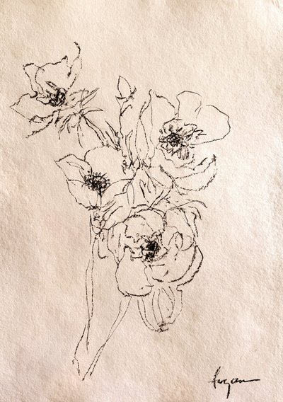 Delicate Floral Sketch by Dorothy Fagan