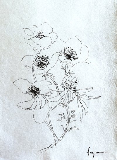 Delicate Floral Sketch by Dorothy Fagan