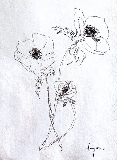 Delicate Flower Sketch by Dorothy Fagan