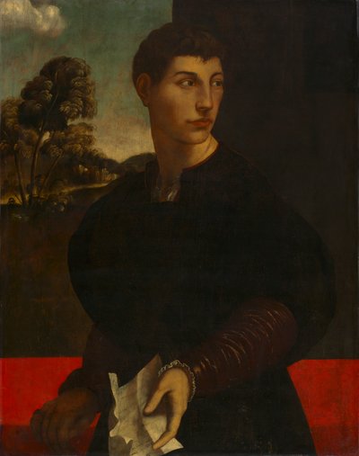 Portrait of a Young Man by Dosso (follower of) Dossi