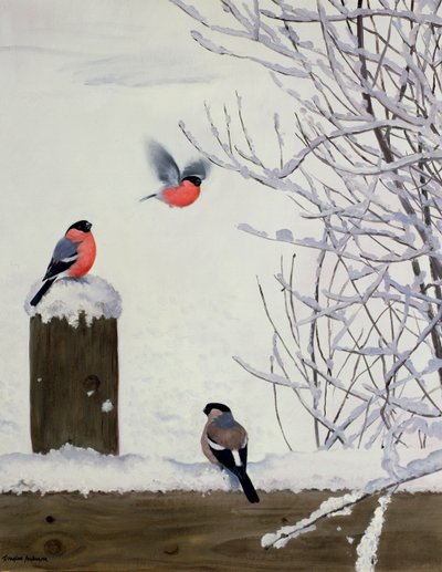 Bullfinches on a Snowy Fence by Douglas Anderson