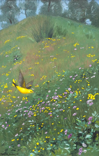 Golden Oriel in Spring Flowers by Douglas Anderson