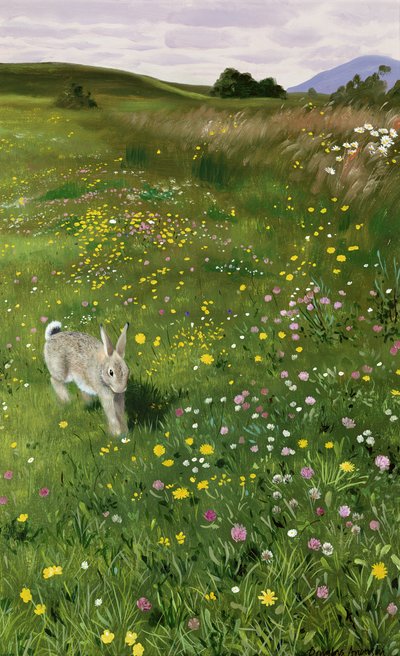 Hare in Spring Flowers by Douglas Anderson
