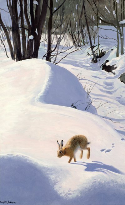 Hare in the Snow by Douglas Anderson