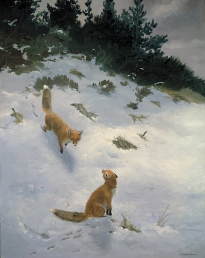 Love at First Sight, Foxes in the Snow by Douglas Anderson