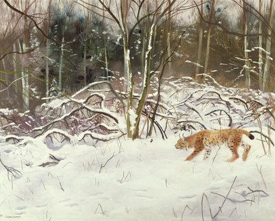 Lynx and Hare by Douglas Anderson