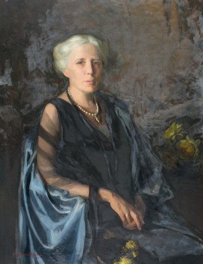 The Lady in the Blue Cloak by Douglas Gordon Shields