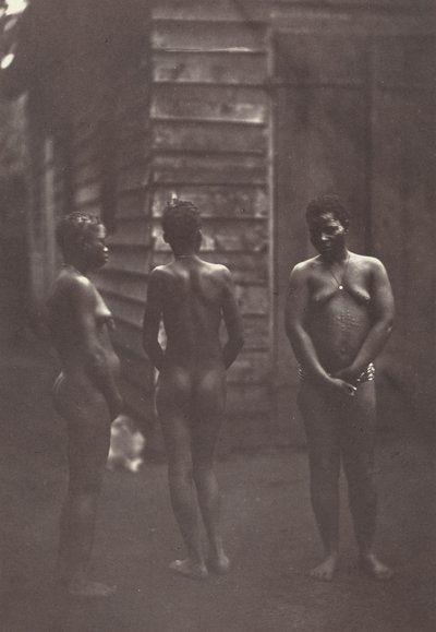 Three Malagasy Women (Plate 30) by Désiré Charnay