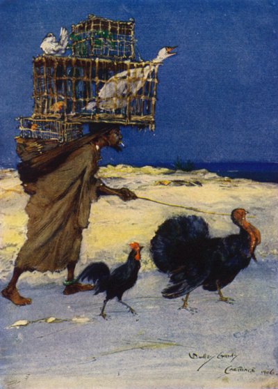 The Bird Fancier, Carthage, Tunisia by Dudley Hardy