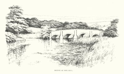 Bridge at Box Hill by Duncan Moul