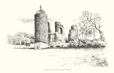 Ruins of Brambletye House by Duncan Moul