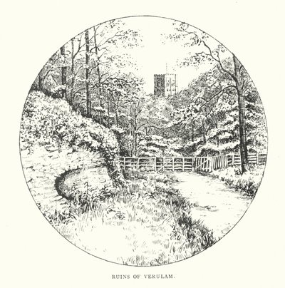 Ruins of Verulam by Duncan Moul