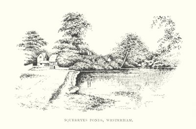 Squerryes Ponds, Westerham by Duncan Moul