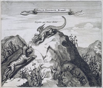 A Mountain in the Jiangxi Province with Crags Known as the Dragon and the Tiger, from China Illustrated by Athanasius Kircher by Dutch School