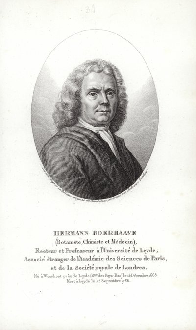 Herman Boerhaave by Dutch School
