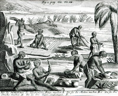 Hottentots by Dutch School