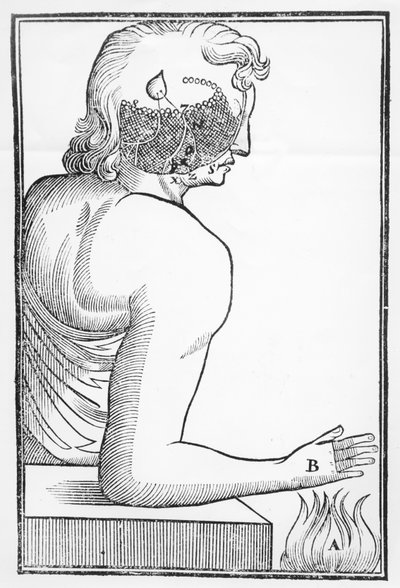 Illustration of the workings and effect of the pineal gland on the human nervous system in relation to a reaction to fire, from Tractatus de Homine, published in Amsterdam by Elsevier, 1677 by Dutch School