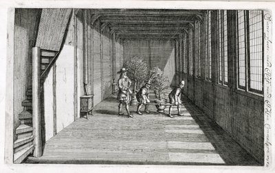 Moving trees into the garden for summer, from De Nederlandze Hesperides by Jan Commelin, published 1676 by Dutch School