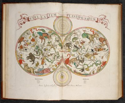 A Planisphere with Signs of Zodiac by Dutch School